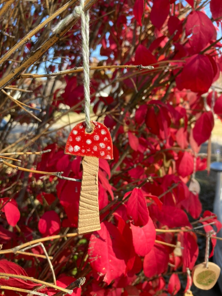 Ceramic Ornament(s)