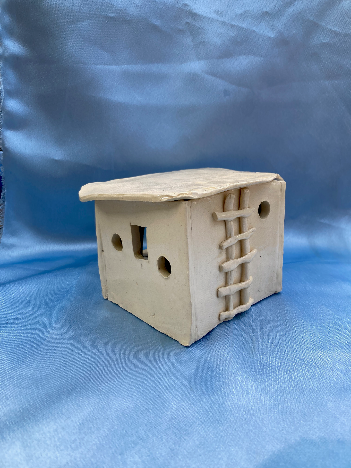 Two Step Tiny House