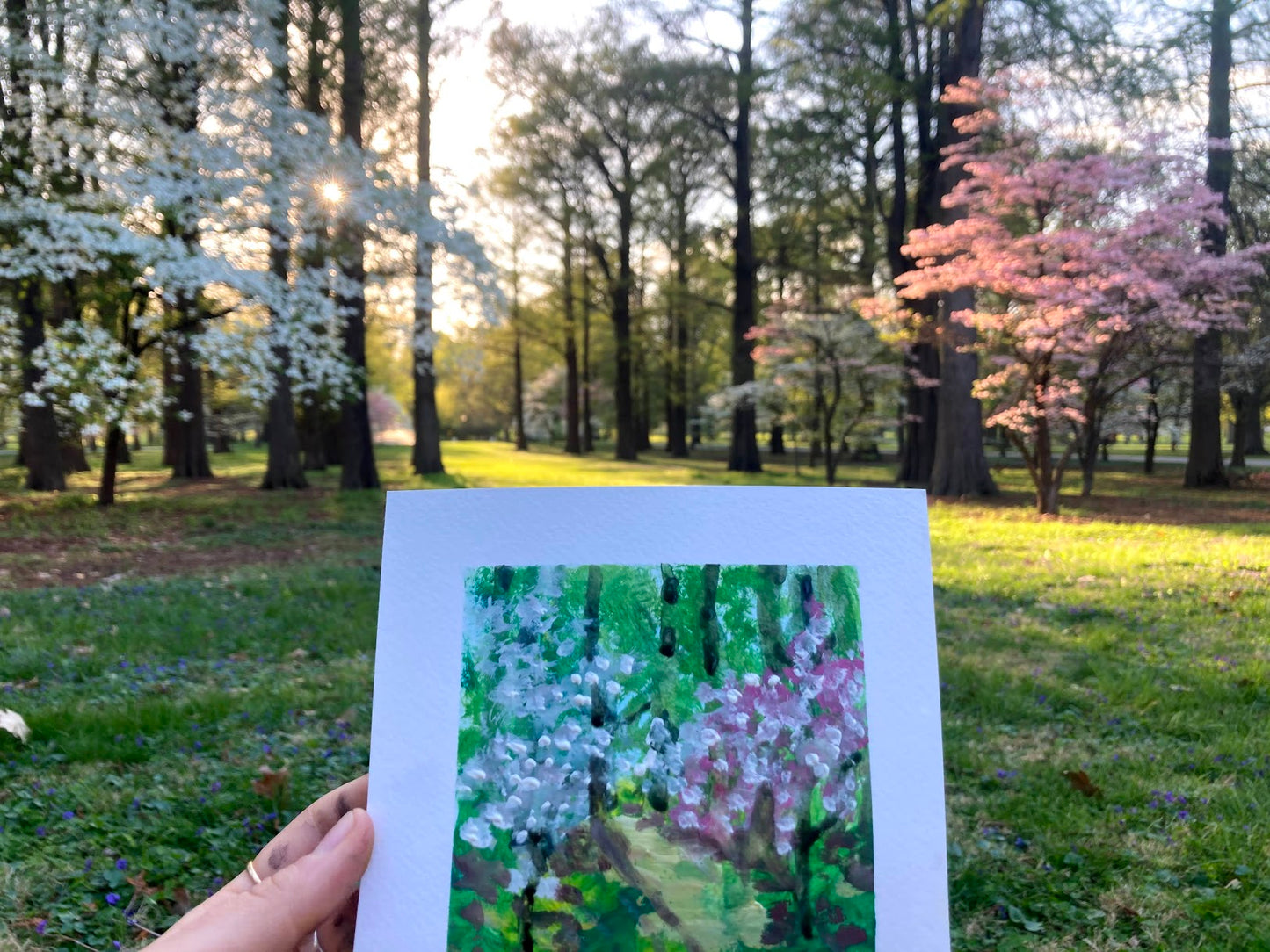 Spring trees