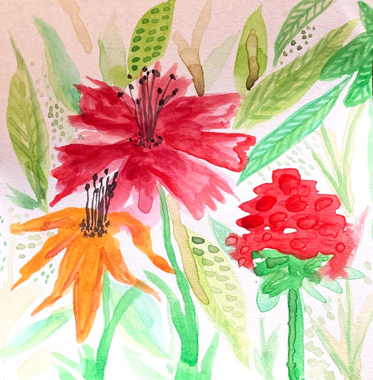 Zinnias